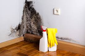 Best Dehumidification Services in USA